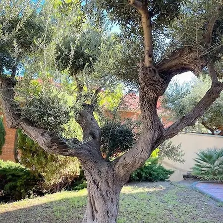 Tamarit By Unik Tarragona